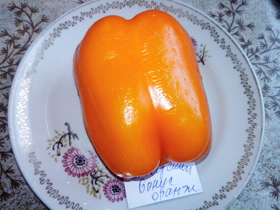 Сибирский бонус